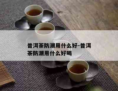 普洱茶防潮用什么好-普洱茶防潮用什么好喝