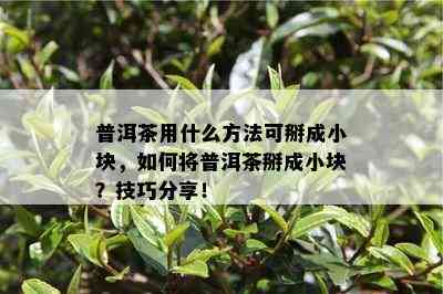 普洱茶用什么方法可掰成小块，如何将普洱茶掰成小块？技巧分享！