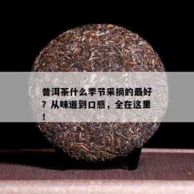 普洱茶什么季节采摘的更好？从味道到口感，全在这里！