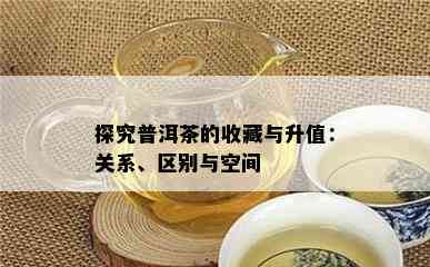 探究普洱茶的收藏与升值：关系、区别与空间