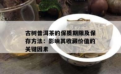 古树普洱茶的保质期限及保存方法：影响其收藏价值的关键因素