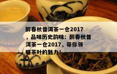 醉春秋普洱茶一仓2017，品味历史韵味：醉春秋普洱茶一仓2017，带你领略茶叶的魅力！