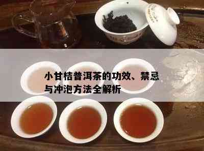 小甘桔普洱茶的功效、禁忌与冲泡方法全解析