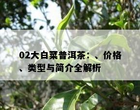 02大白菜普洱茶：、价格、类型与简介全解析