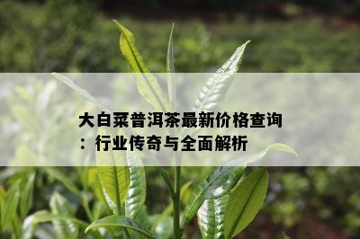 大白菜普洱茶最新价格查询：行业传奇与全面解析