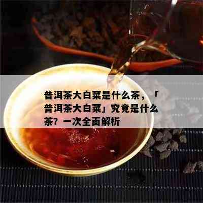 普洱茶大白菜是什么茶，「普洱茶大白菜」究竟是什么茶？一次全面解析