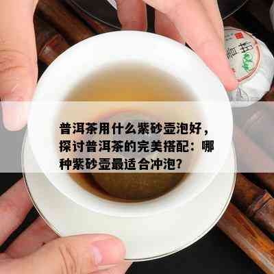 普洱茶用什么紫砂壶泡好，探讨普洱茶的完美搭配：哪种紫砂壶最适合冲泡？