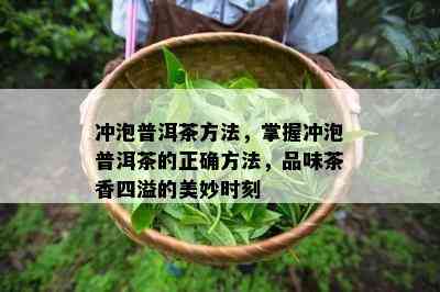 冲泡普洱茶方法，掌握冲泡普洱茶的正确方法，品味茶香四溢的美妙时刻