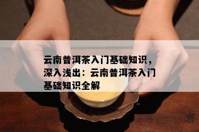 云南普洱茶入门基础知识，深入浅出：云南普洱茶入门基础知识全解