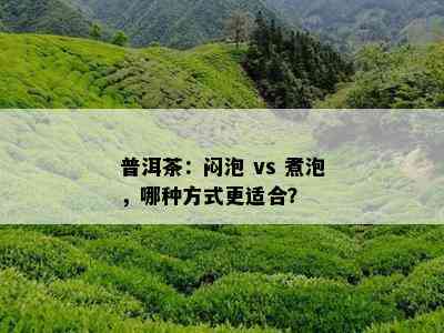 普洱茶：闷泡 vs 煮泡，哪种方式更适合？