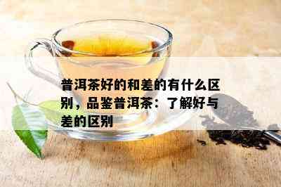 普洱茶好的和差的有什么区别，品鉴普洱茶：了解好与差的区别