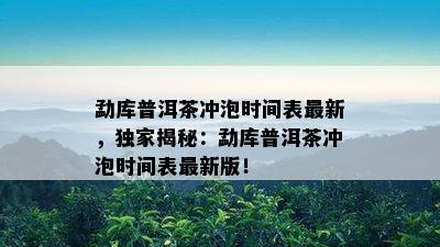 勐库普洱茶冲泡时间表最新，独家揭秘：勐库普洱茶冲泡时间表最新版！