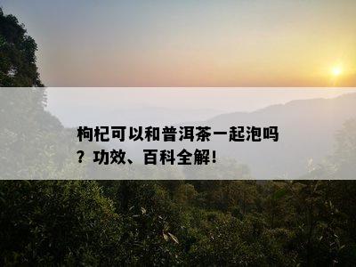 枸杞可以和普洱茶一起泡吗？功效、百科全解！