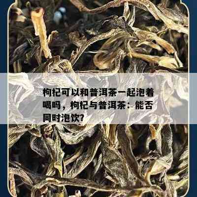 枸杞可以和普洱茶一起泡着喝吗，枸杞与普洱茶：能否同时泡饮？