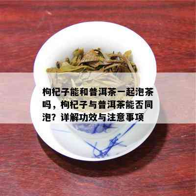 枸杞子能和普洱茶一起泡茶吗，枸杞子与普洱茶能否同泡？详解功效与注意事项