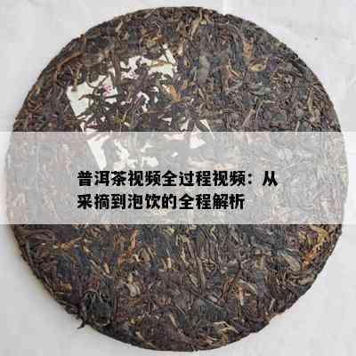 普洱茶视频全过程视频：从采摘到泡饮的全程解析