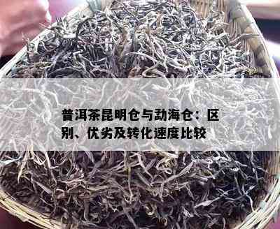 普洱茶昆明仓与勐海仓：区别、优劣及转化速度比较