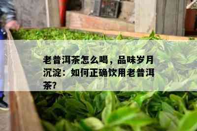 老普洱茶怎么喝，品味岁月沉淀：如何正确饮用老普洱茶？