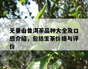 无量山普洱茶品种大全及口感介绍，包括生茶价格与评价