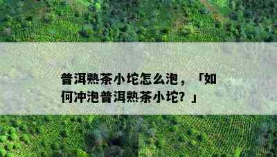 普洱熟茶小坨怎么泡，「如何冲泡普洱熟茶小坨？」