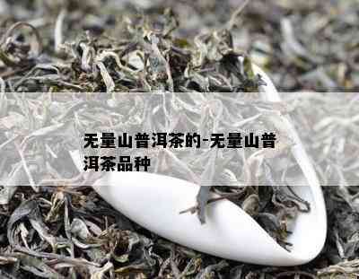 无量山普洱茶的-无量山普洱茶品种