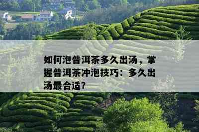 如何泡普洱茶多久出汤，掌握普洱茶冲泡技巧：多久出汤最合适？