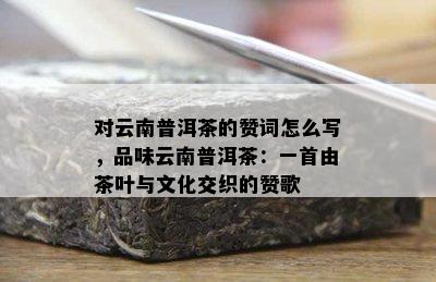 对云南普洱茶的赞词怎么写，品味云南普洱茶：一首由茶叶与文化交织的赞歌