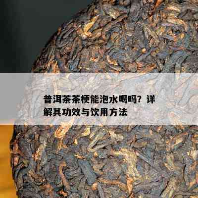 普洱茶茶梗能泡水喝吗？详解其功效与饮用方法