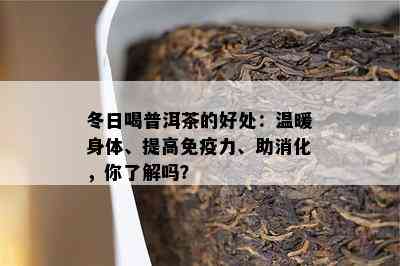 冬日喝普洱茶的好处：温暖身体、提高免疫力、助消化，你了解吗？