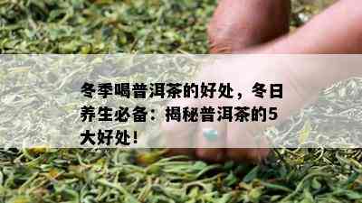 冬季喝普洱茶的好处，冬日养生必备：揭秘普洱茶的5大好处！