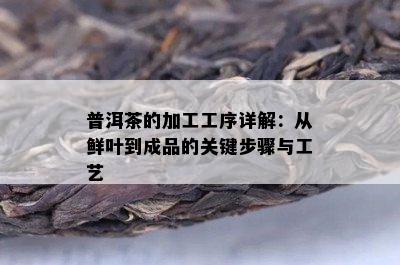 普洱茶的加工工序详解：从鲜叶到成品的关键步骤与工艺