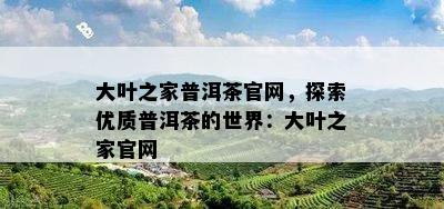 大叶之家普洱茶官网，探索优质普洱茶的世界：大叶之家官网