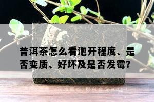 普洱茶怎么看泡开程度、是否变质、好坏及是否发霉？