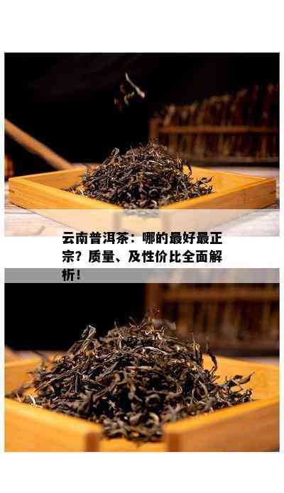 云南普洱茶：哪的更好最正宗？质量、及性价比全面解析！