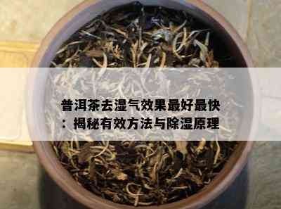 普洱茶去湿气效果更好最快：揭秘有效方法与除湿原理