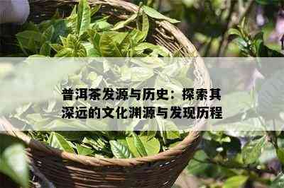 普洱茶发源与历史：探索其深远的文化渊源与发现历程