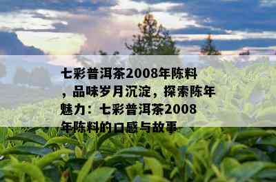 七彩普洱茶2008年陈料，品味岁月沉淀，探索陈年魅力：七彩普洱茶2008年陈料的口感与故事