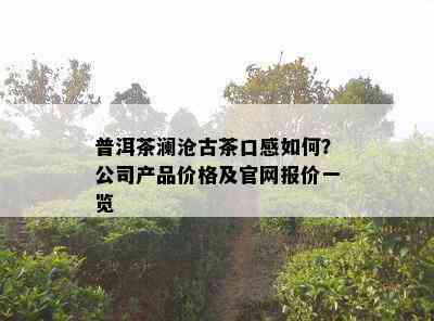 普洱茶澜沧古茶口感如何？公司产品价格及官网报价一览