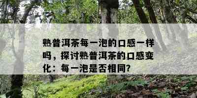 熟普洱茶每一泡的口感一样吗，探讨熟普洱茶的口感变化：每一泡是否相同？