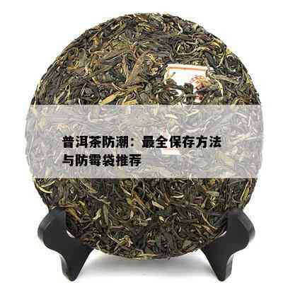 普洱茶防潮：最全保存方法与防霉袋推荐