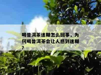 喝普洱茶迷糊怎么回事，为何喝普洱茶会让人感到迷糊？