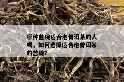 哪种盖碗适合泡普洱茶的人喝，如何选择适合泡普洱茶的盖碗？