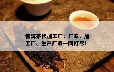 普洱茶代加工厂：厂家、加工厂、生产厂家一网打尽！