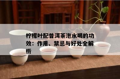 柠檬叶配普洱茶泡水喝的功效：作用、禁忌与好处全解析