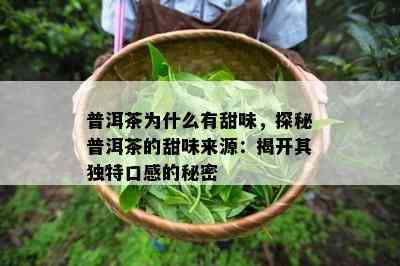 普洱茶为什么有甜味，探秘普洱茶的甜味来源：揭开其独特口感的秘密