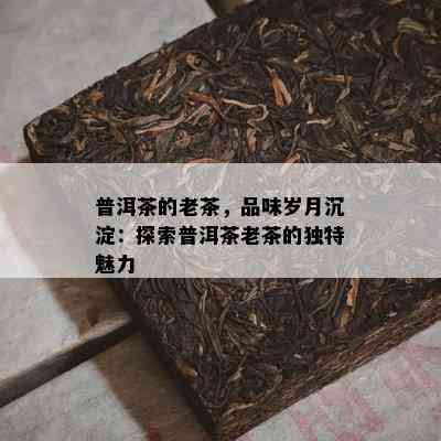 普洱茶的老茶，品味岁月沉淀：探索普洱茶老茶的独特魅力