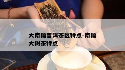 大南糯普洱茶区特点-南糯大树茶特点