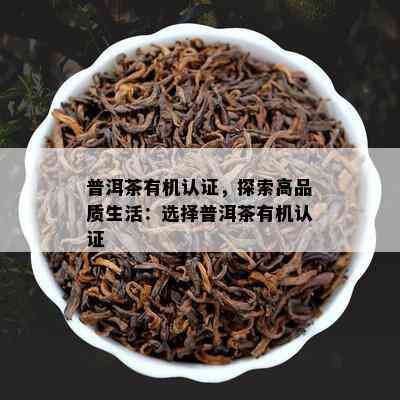 普洱茶有机认证，探索高品质生活：选择普洱茶有机认证