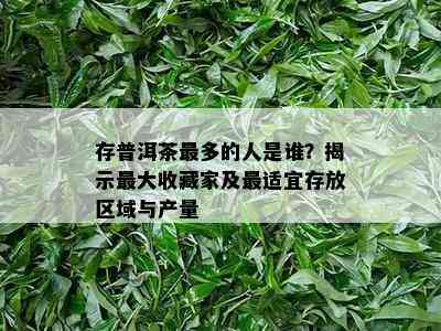 存普洱茶最多的人是谁？揭示更大收藏家及最适宜存放区域与产量