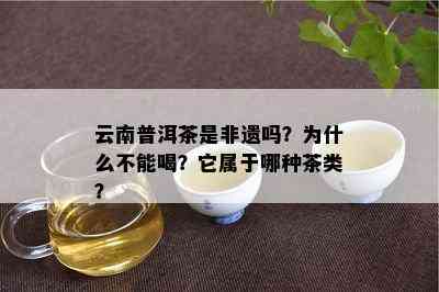 云南普洱茶是非遗吗？为什么不能喝？它属于哪种茶类？